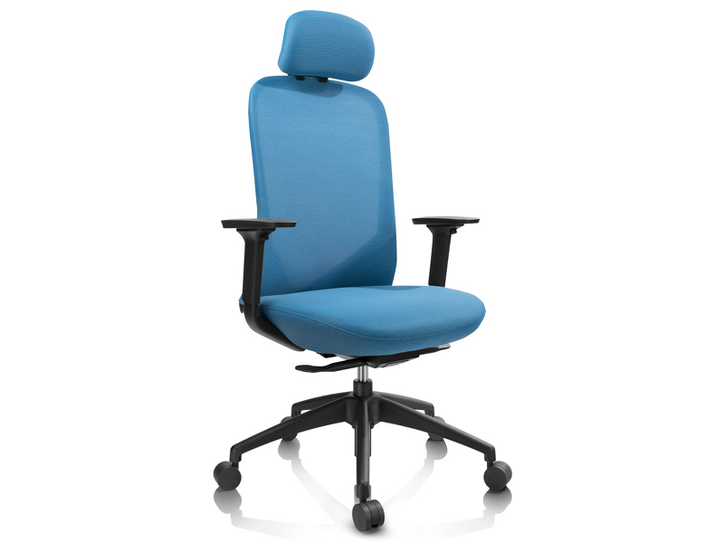 Product Image for iiglo Ergo Kontorsstol Revolution - Blå
