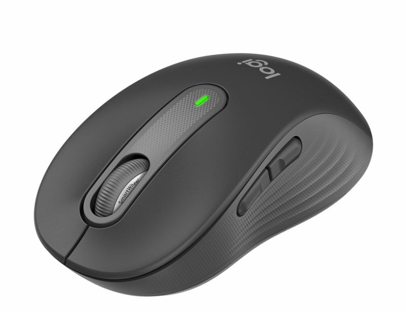 Product Image for Logitech M650 Large Wireless