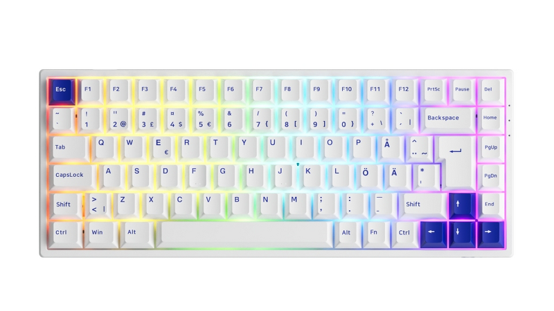 Product Image for Akko 3084B Blue/White - Akko CS Jelly Purple