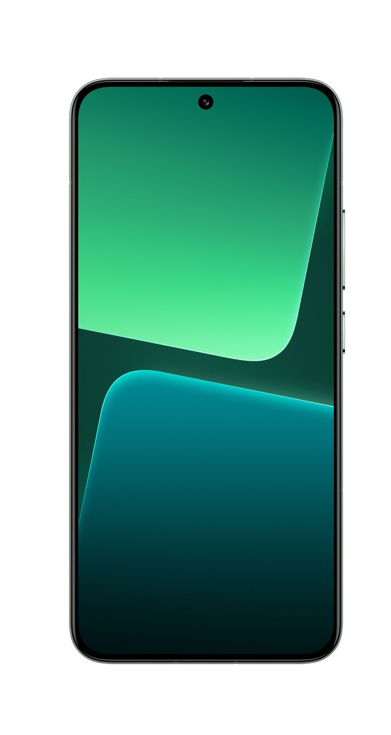 Xiaomi 13 8+256Gb - Flora Green