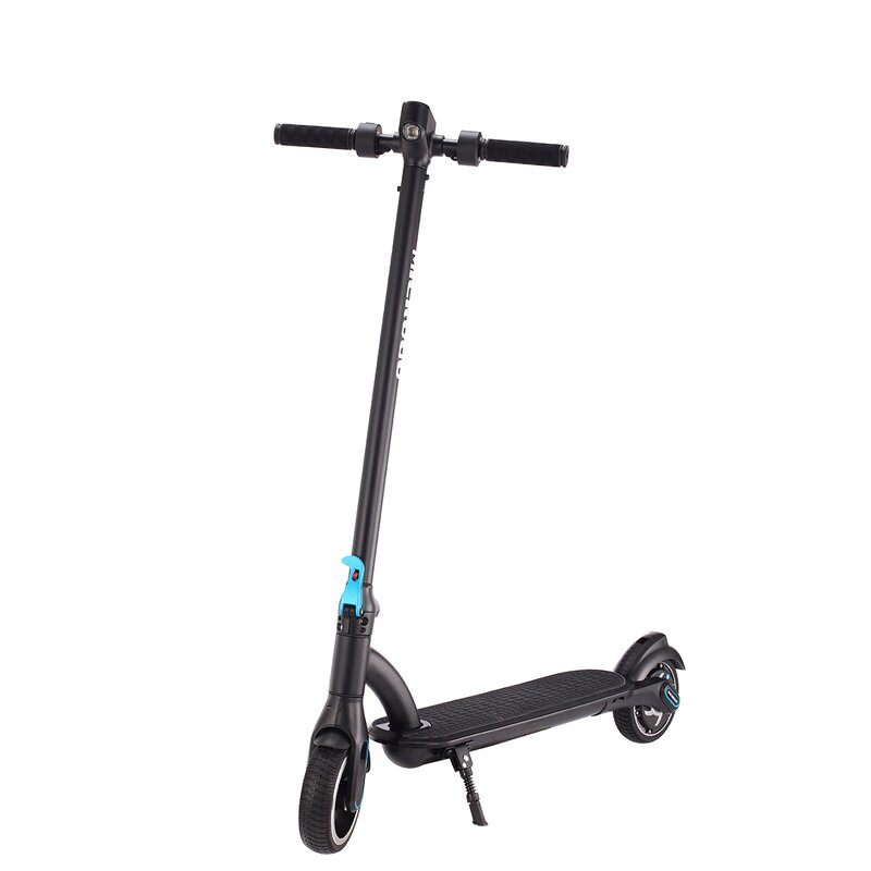 Microgo Electric scooter M8 250W Black