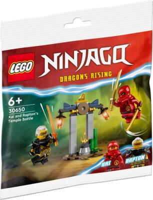 LEGO Ninjago Kai and Rapton's Temple Battle 30650