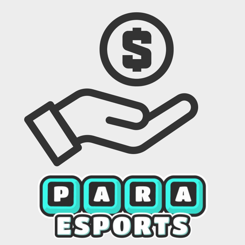 Donera 250 kr till Para Esports (Ej fysisk produkt endast donation)