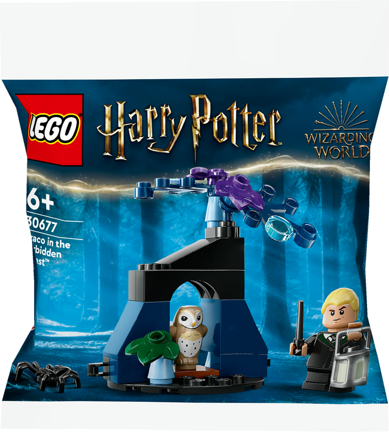 Product Image for LEGO Harry Potter Draco i den förbjudna skogen 30677
