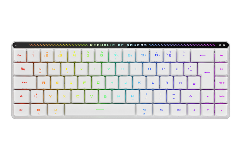 Product Image for ASUS ROG FALCHION Low Profile RX Optical