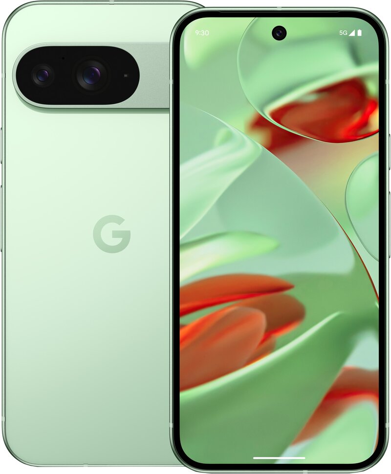 Google Pixel 9 / 128GB – Wintergreen