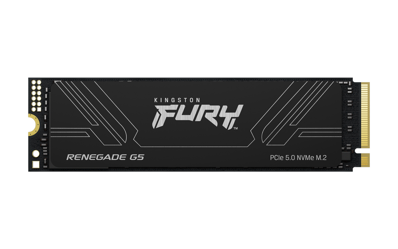 Product Image for Kingston Fury Renegade G5 - 2TB